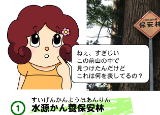 水源かん養保安林