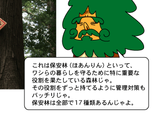 保安林