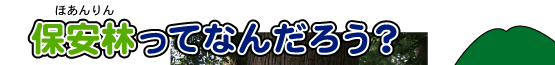 保安林