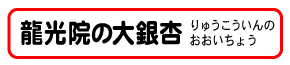 龍光院の大銀杏