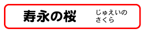 寿永の桜
