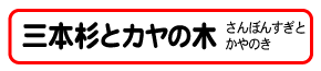 粟原の三本杉とカヤの木