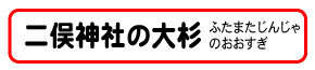 二俣神社の大杉