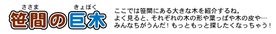 笹間の巨木