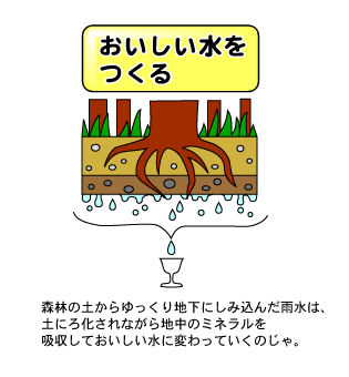 おいしい水をつくる