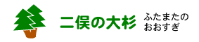 二俣の大杉