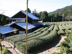 笹間からの質問、山村